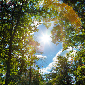 ZZZ0女人与牛ZOZZ0视频
